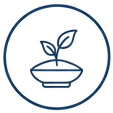 Nutrition & lifestyle guidance